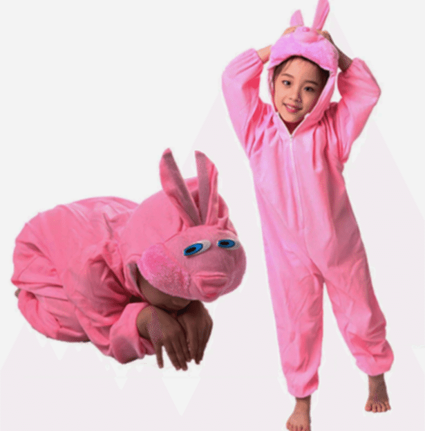 Çuk Tşan Kostümü Pembe Renk 2-3 Yaş 80 cm