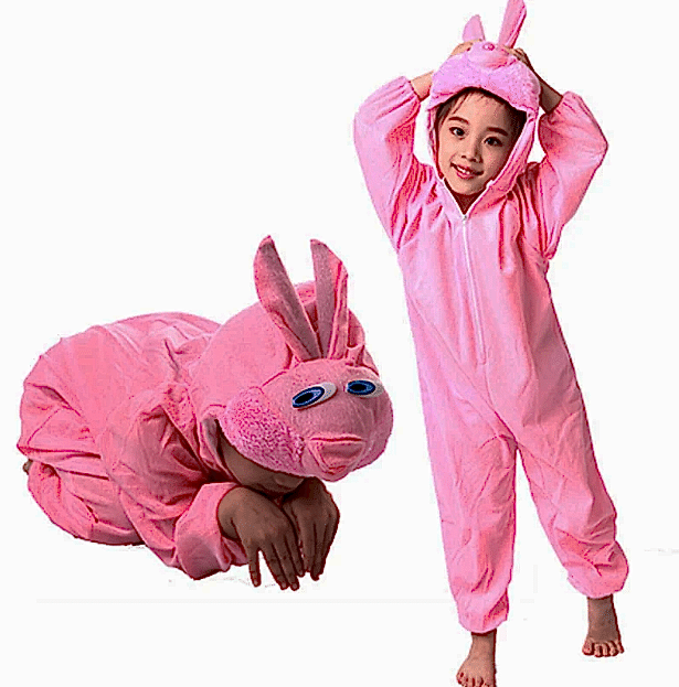 Çuk Tşan Kostümü Pembe Renk 4-5 Yaş 100 cm